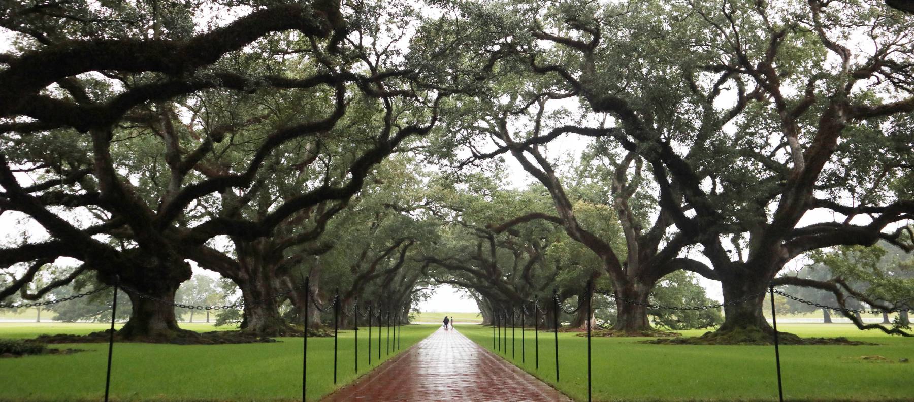 イギリスによる北アメリカの植民地化と、黒人奴隷とプランテーションのはじまり 16～17世紀頃ScribbleBubble.net