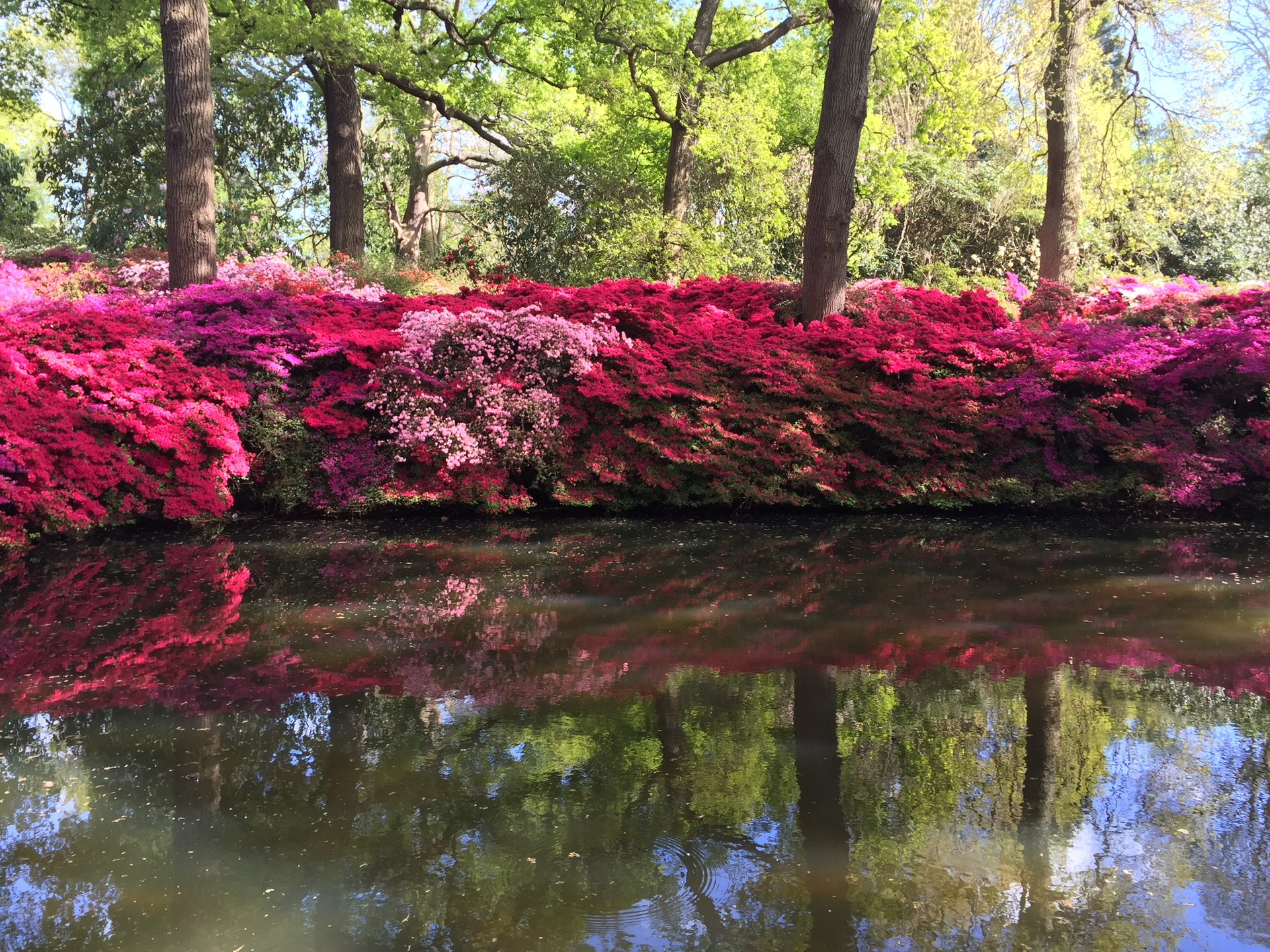現地ルポ ロンドンのセレブの暮らす「リッチモンド」ってどんなところ？TABIZINE～人生に旅心を～