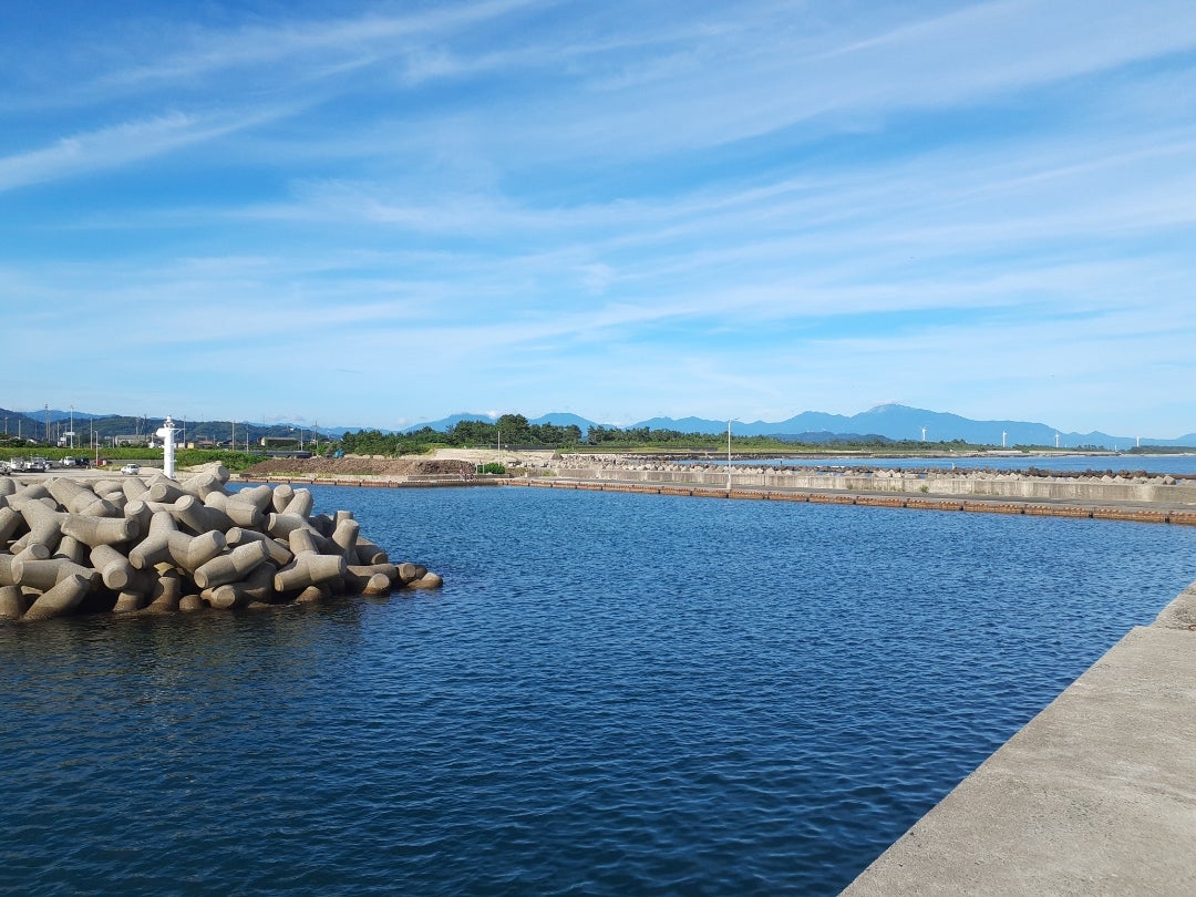 橋津港の釣果・釣り場情報 2025年最新- アングラーズ釣果600万件の魚釣り情報サイト