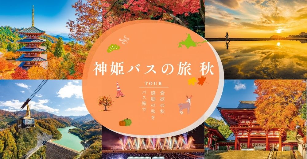 姫路明石発 ぶどうの王様！巨峰狩り園内食べ放題と淡路ファームパークイングランドの丘！黄色い絨毯ひまわり畑＆ジュージューうれしい淡路牛BBQランチ※要コロナウイルスワクチン3回接種※格安ベストワンバスツア