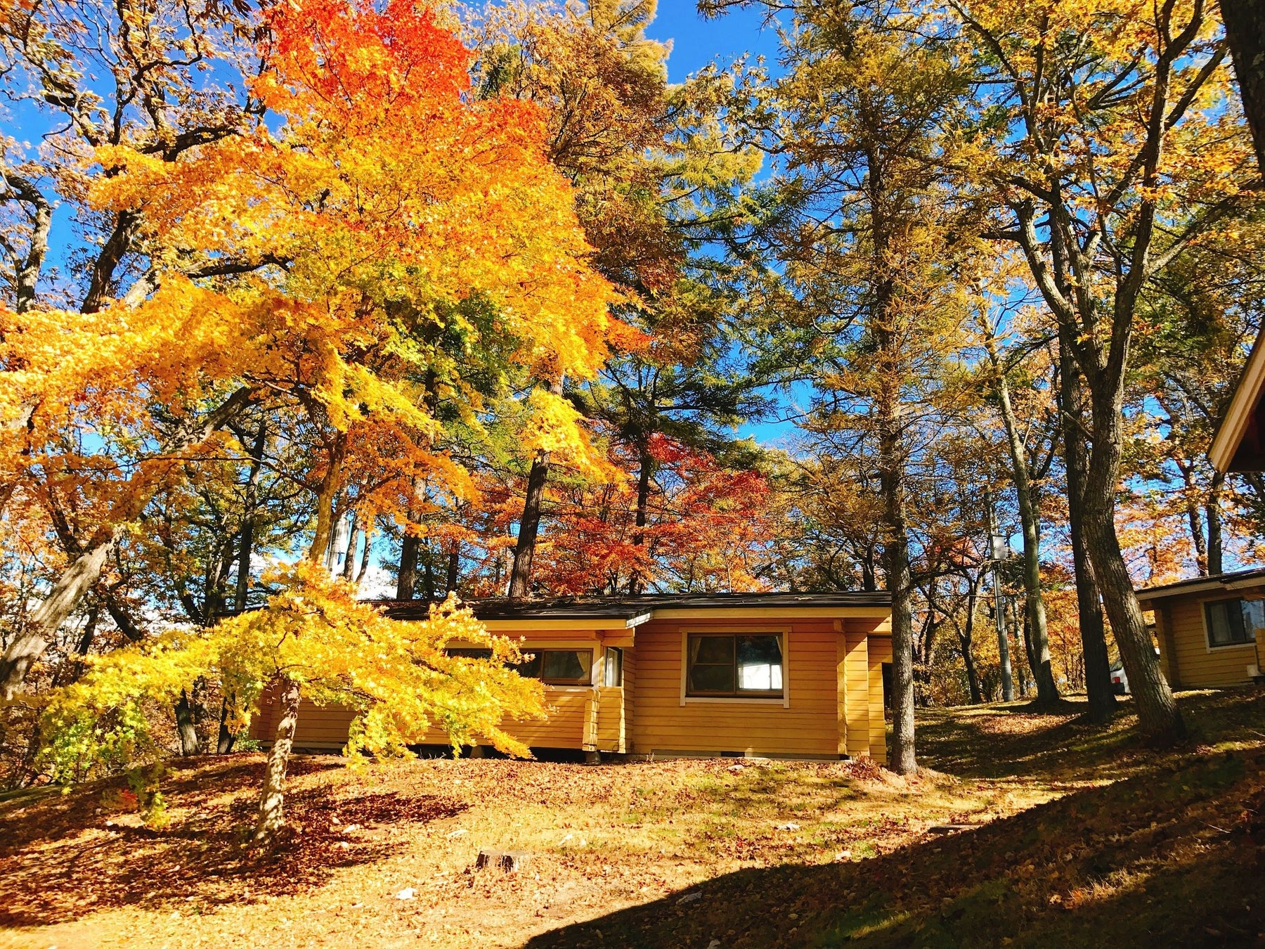 軽井沢の紅葉スポットのおすすめ10選！見頃の時期や混雑状況なども紹介なっぷ