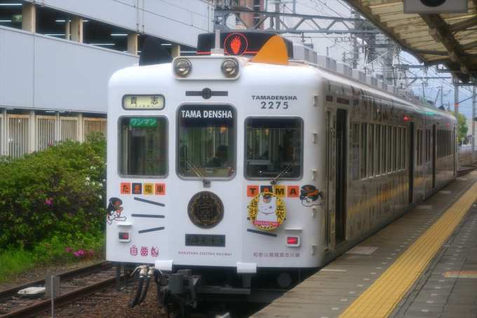和歌山電鐵 貴志川線 1日乗車券RYDE