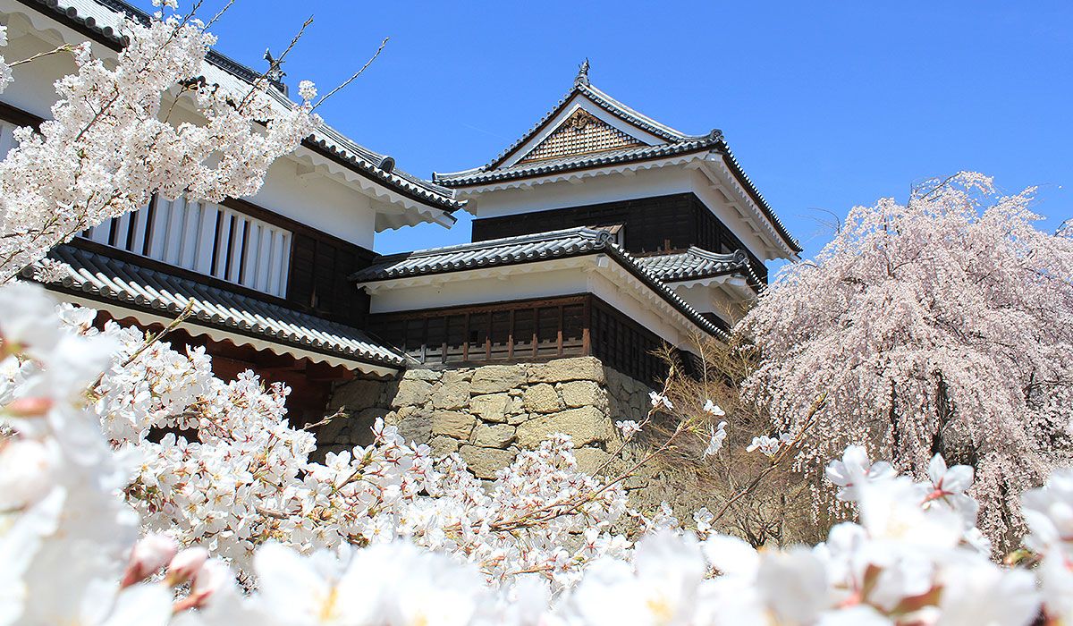 2025年最新 上田市おすすめ観光名所17選！定番から穴場まで