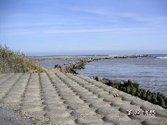 夷隅川河口で釣れたハゼの釣り・釣果情報 - アングラーズ釣果600万件の魚釣り情報サイト