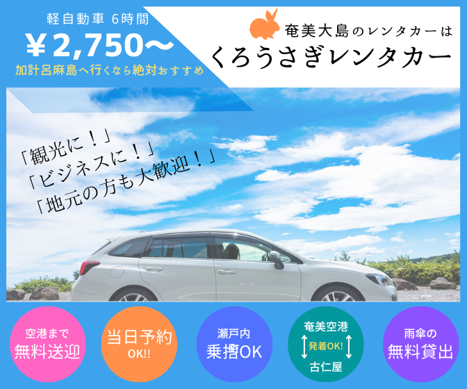 奄美のルリカケスが集まる大自然の中の一棟貸しゲストハウス『奄美すけがちの宿』 - 借りられる一軒家 -