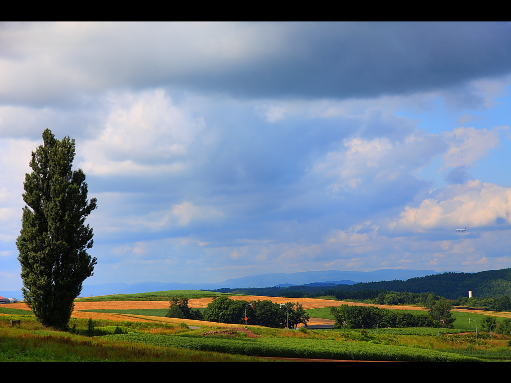 ケンメリの木」の写真素材331件の無料イラスト画像Adobe Stock