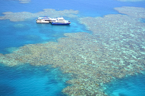 オーストラリア2人旅 13:ケアンズ観光 世界遺産の熱帯雨林キュランダ iku