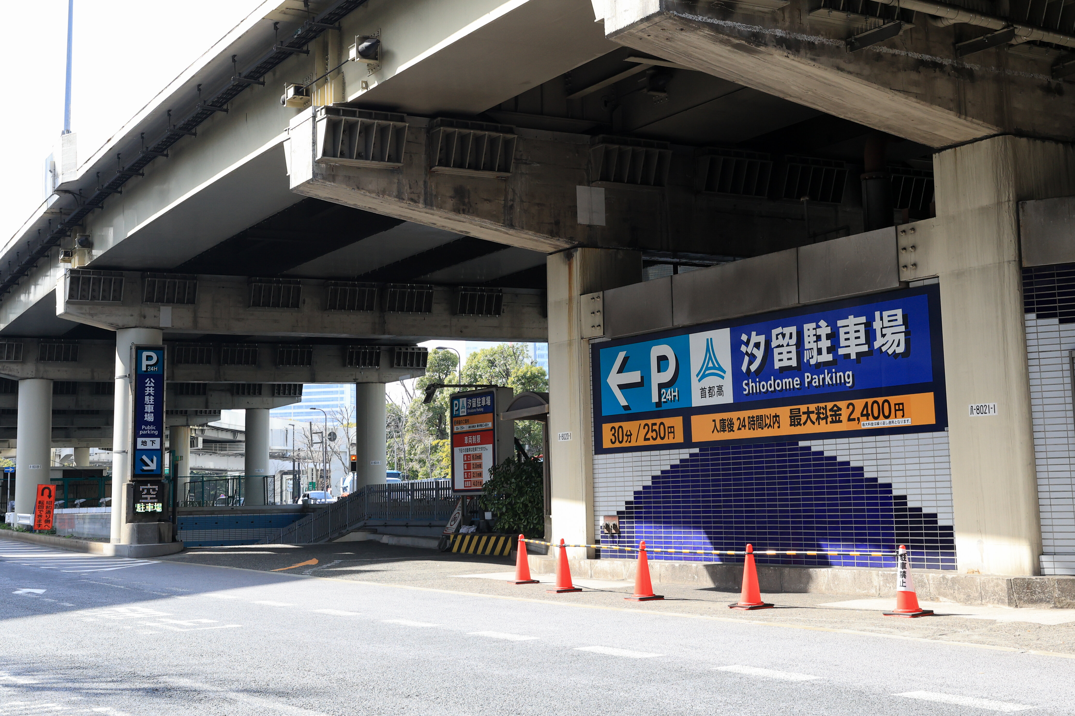 東京港晴海客船ターミナル、受入再開