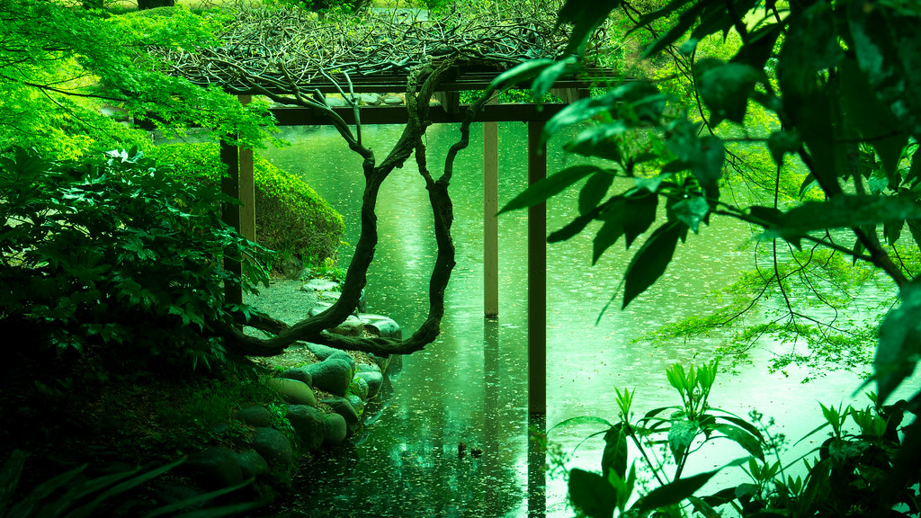 東京散歩 ～雨の新宿御苑』新宿 東京 の旅行記・ブログ