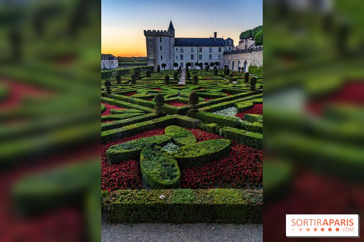 Yahoo!トラベル - フランスのロワール渓谷にあるヴィランドリー城の庭園。