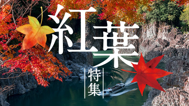 人気の国内旅行先ランキング～夏編～国内旅行特集 トラベルコ