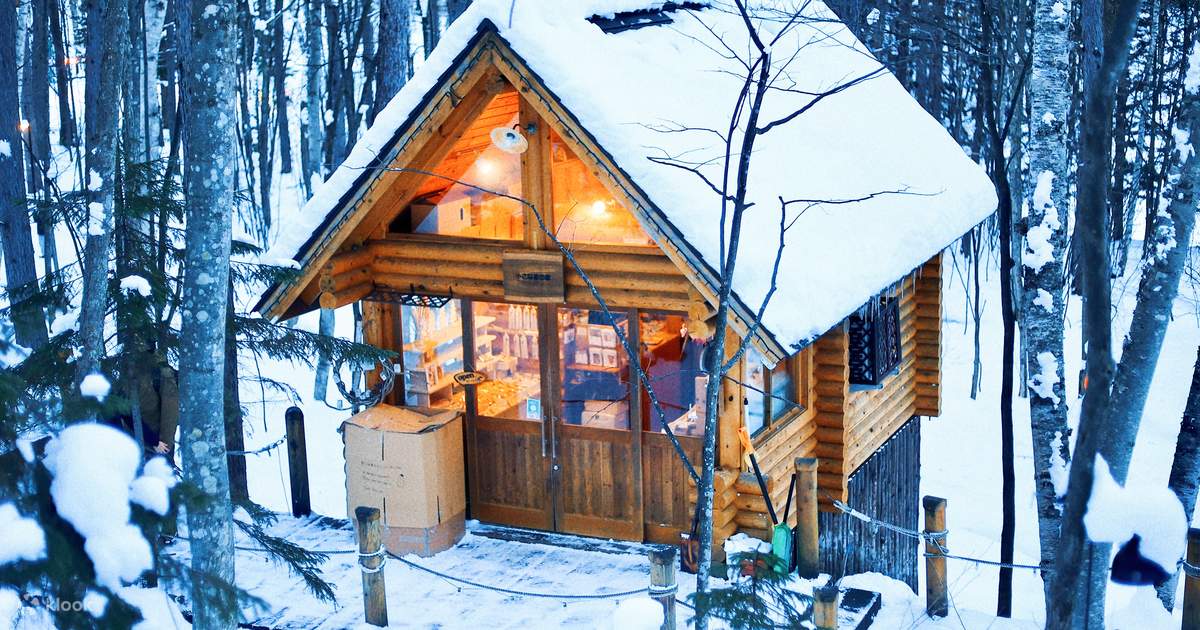 北海道 クリスマスツリーの木 バスツアーTikTok