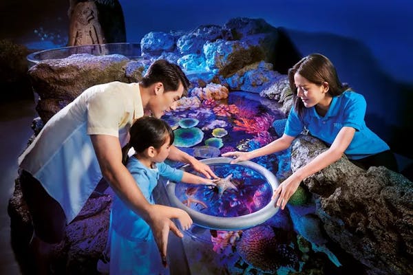 バンコクの水族館 シーライフバンコク『Sea Life Bangkok ซี