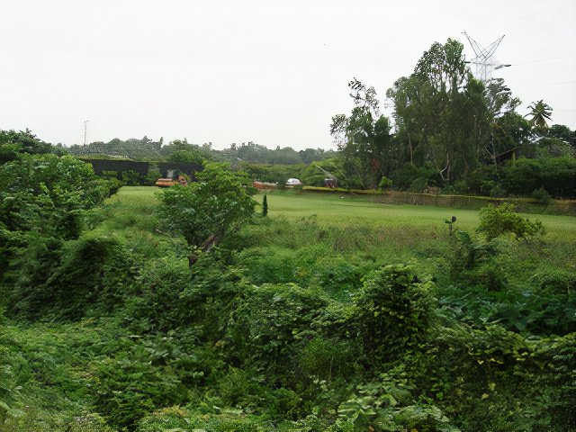 スリランカの首都はスリ・ジャヤワルダナプラ・コッテ！見どころや治安情報も徹底解説NEWT ニュート