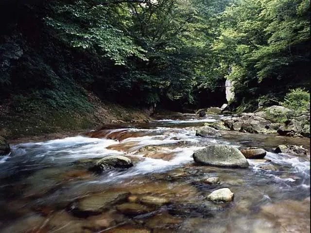 絶景 栃木県のおすすめ観光スポット5選！王道から穴場まで◎aumo アウモ