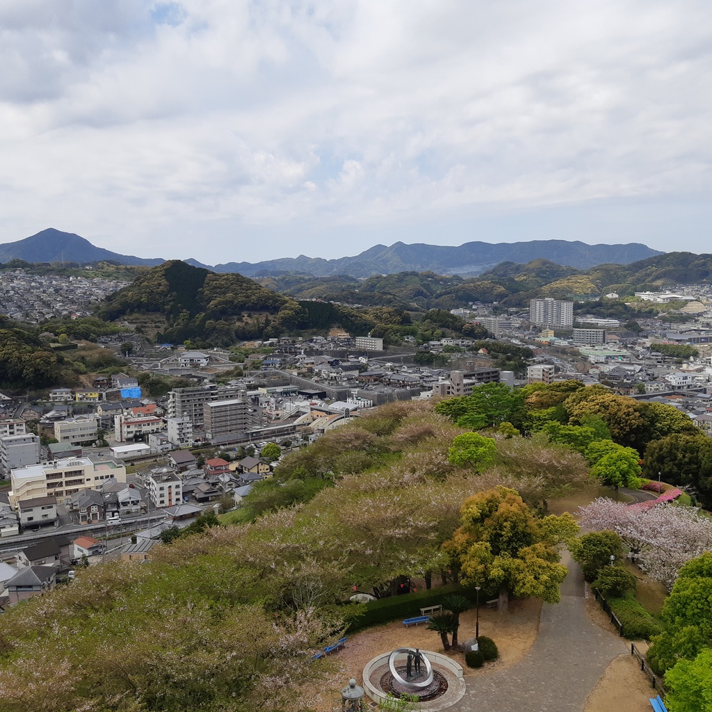 中尾城公園の桜 開花と満開日2023 ～花見に最適