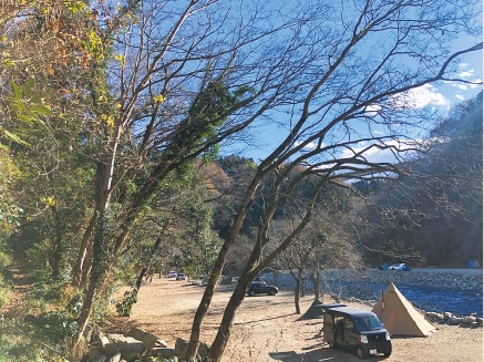 神奈川県でおすすめのソロキャンプ場15選！無料や電車で行けるスポットをご紹介「森の中」森を知り、感じるためのメディア齋藤木材工業株式会社