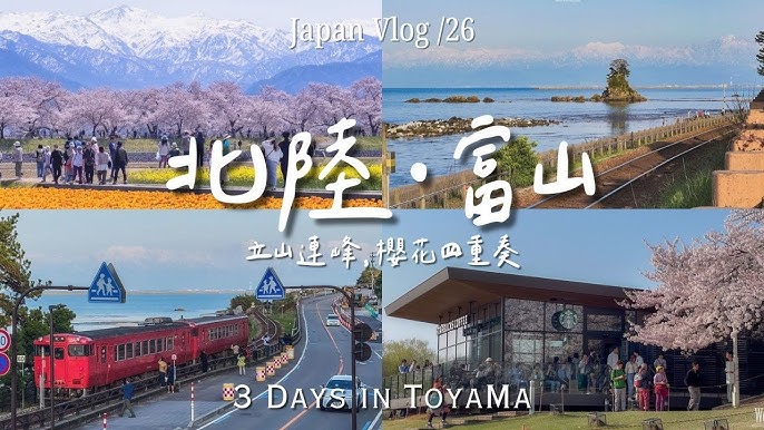 雨晴海岸女岩・富山湾ライブカメラ富山県高岡市ライブカメラJAPAN FUJIYAMA