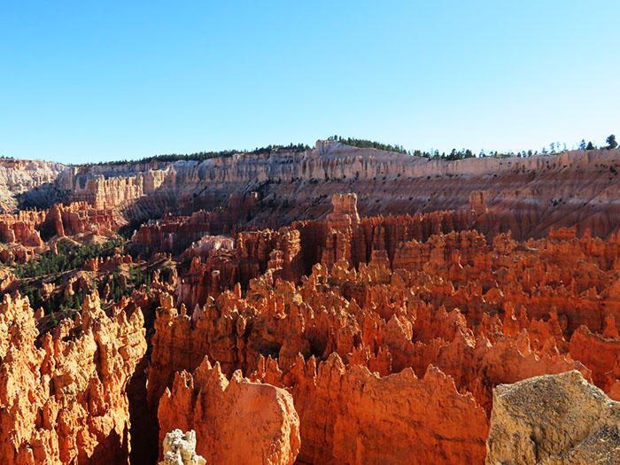 絶景聖地！「デビルズタワー」へアメリカドライブ旅オリコンニュース ORICON NEWS
