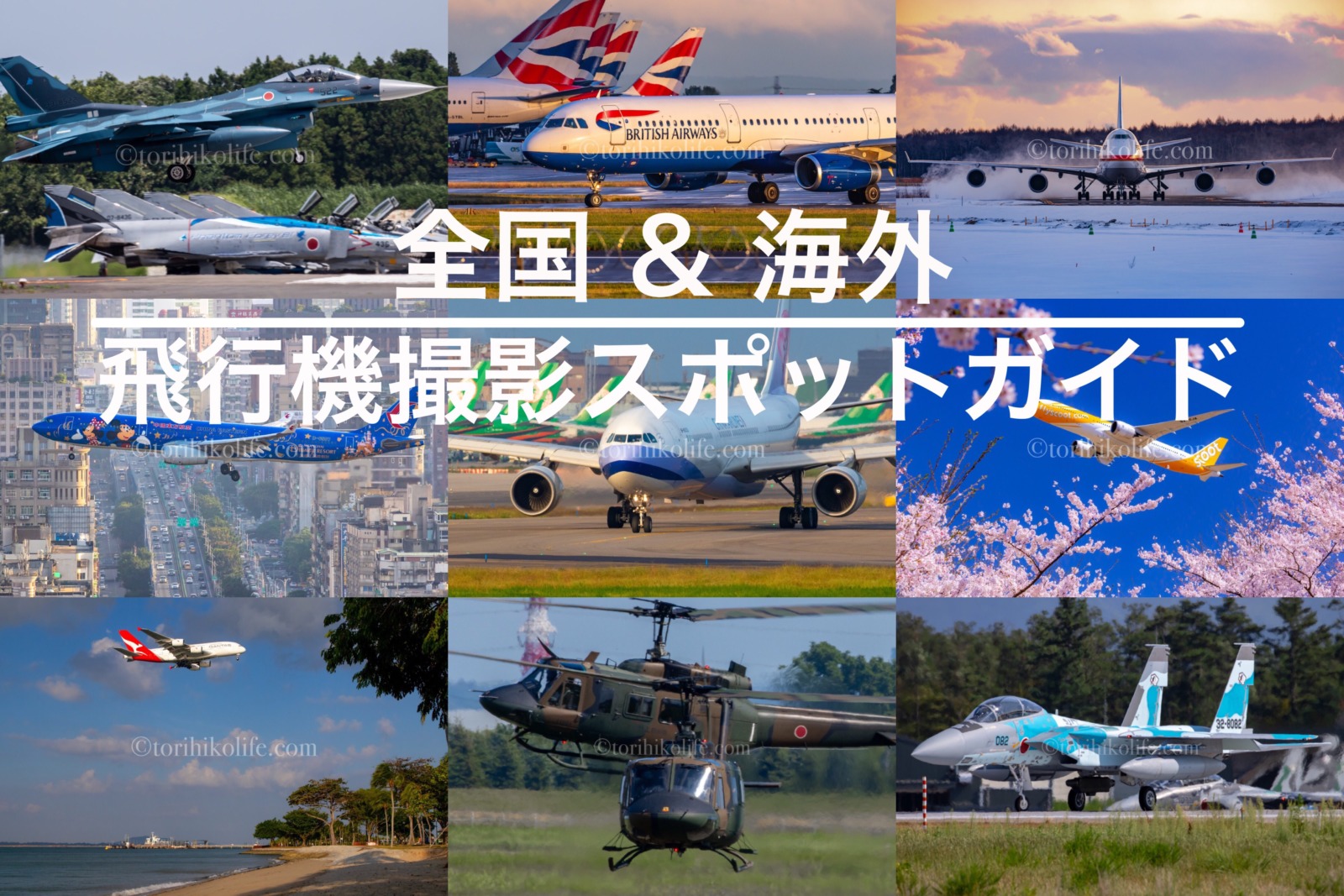 Shiori憧れの飛行機撮影スポットへ✈️ ①圓山大飯店をバックに着陸態勢のA330です🇹🇼 ②は動画📱Instagram