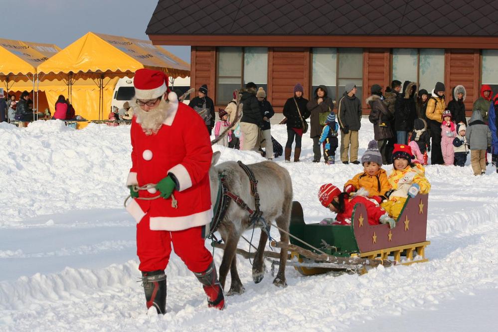 国内唯一！幌延町の「トナカイ観光牧場」でトナカイたちと遊ぼう！│北海道ファンマガジン