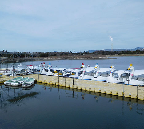 迷って迷って楽しい「冒険迷路」 迷路の中に３か所あるスタンプを集めたらおもちゃをプレゼント！赤穂海浜公園タテホわくわくランド迷路赤穂海浜公園オートキャンプ場赤穂市立海洋科学館赤穂御崎屋外施設遊園地赤穂市公園遊具