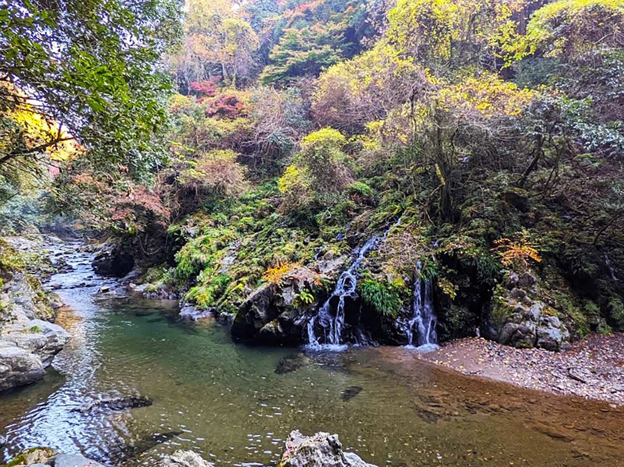 錦雲渓ハイキング 高雄から清滝へ