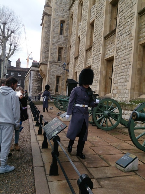 2019年 ゴールド 181枚