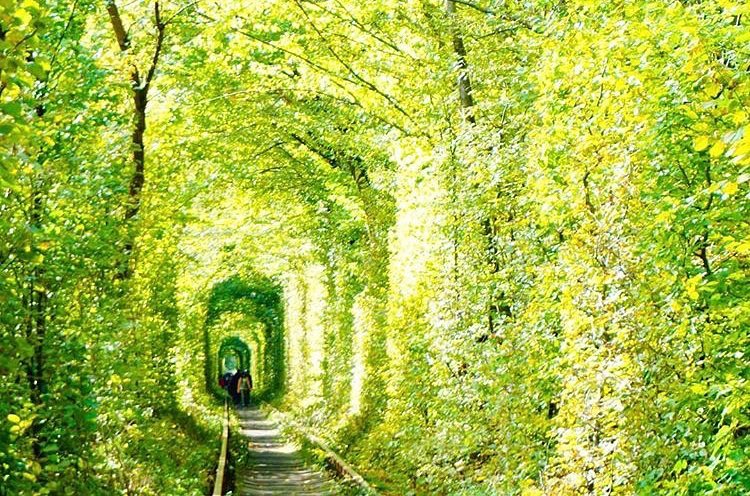 ウクライナの絶景「愛のトンネル」への一番簡単な行き方と注意点ライトラ