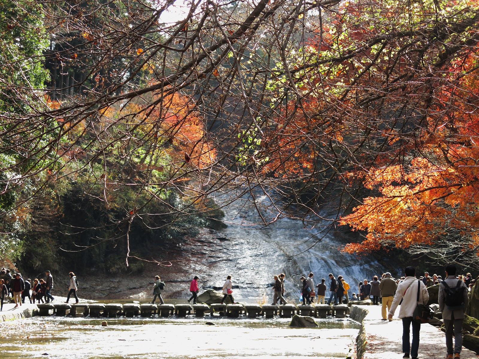 養老渓谷駅から粟又の滝へ 下見ハイクスターミルクの山旅・風景ブログ