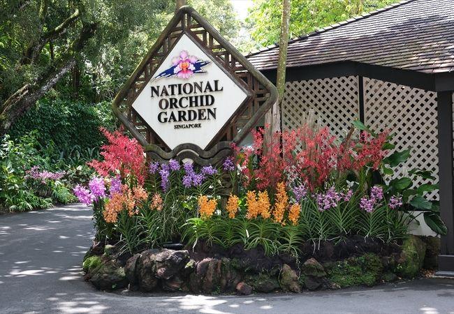 シンガポールの世界遺産「シンガポール植物園」とは？世界遺産マニアが解説世界遺産マニア