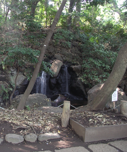 杉並の地下に巨大トンネル、善福寺川の氾濫防ぐ目的の調整池だが、費用対効果分析を公開せぬままの建設に住民が疑念川から考える日本 立ち退きを迫られる住民も、被害と事業のバランスを都議選候補者はどう考えるかアンケート実施 6