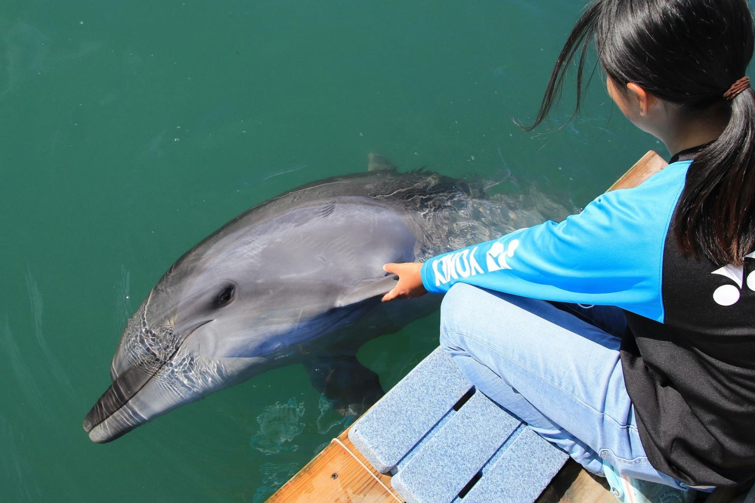 天草パールガーデン＆海中水族館シードーナツ 営業時間、料金、地図・アクセス情報動物園・水族館特集