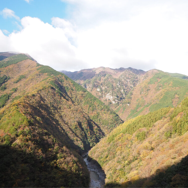 徳島県三好市 祖谷渓の小便小僧 - YouTube