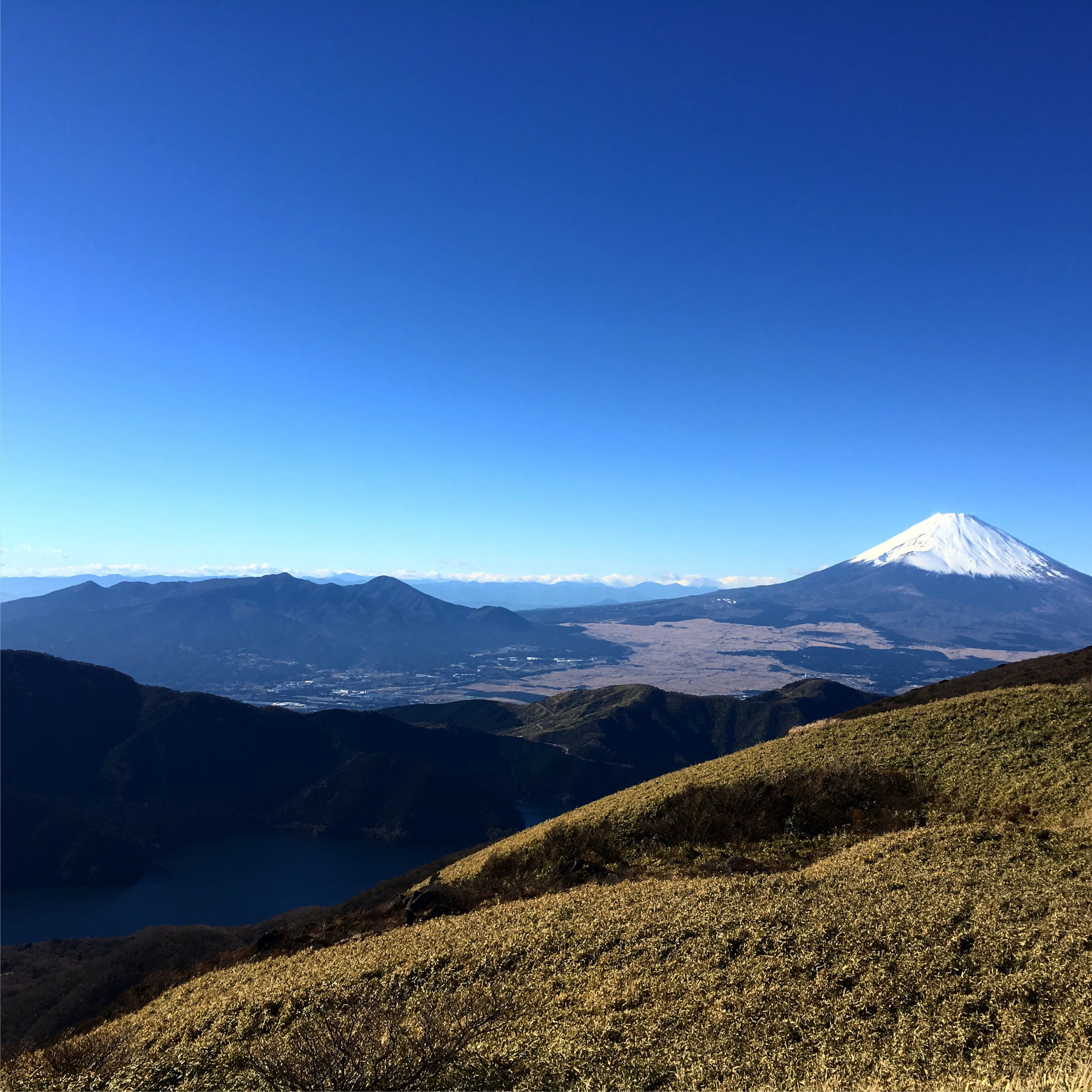 海で何して遊ぶ！？子どもと一緒に楽しめるブルー・ツーリズム体験プラン10選特集公式 鹿児島県観光サイト かごしまの旅