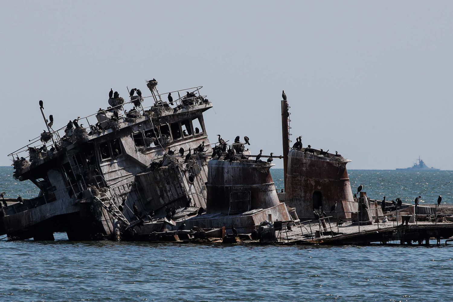 クリミア、アゾフ海沿岸のビーチの写真素材・画像素材 Image 35824764