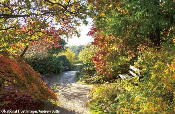 クリスマスは9月から始まる⁉ 社会現象としてのイギリスの祭り＆イベント イギリス散歩案内 さんたつ