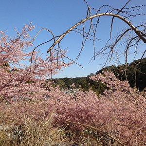 南海展望公園 南海展望台観光スポット観光三重 かんこうみえ