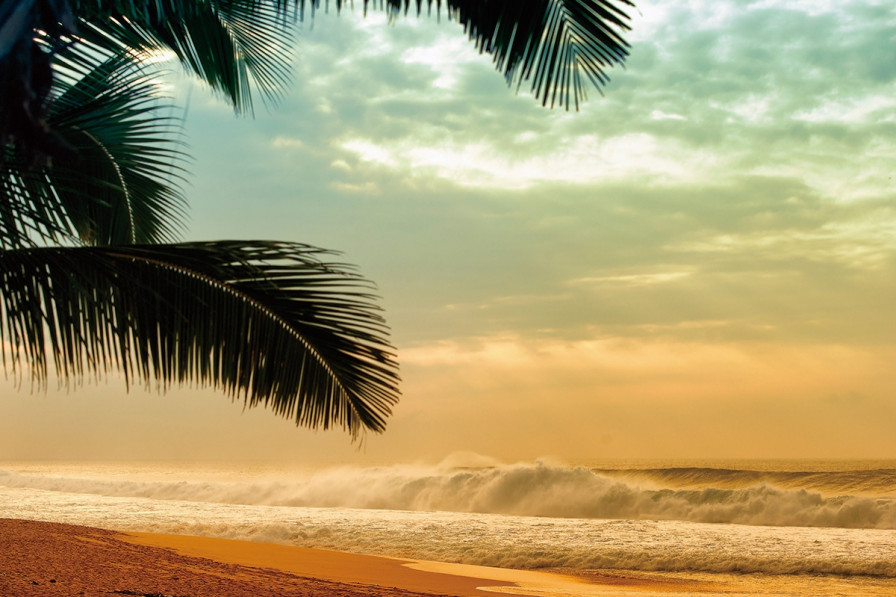 サンセット・ビーチ クチコミ・アクセス・営業時間オアフ島 フォートラベル