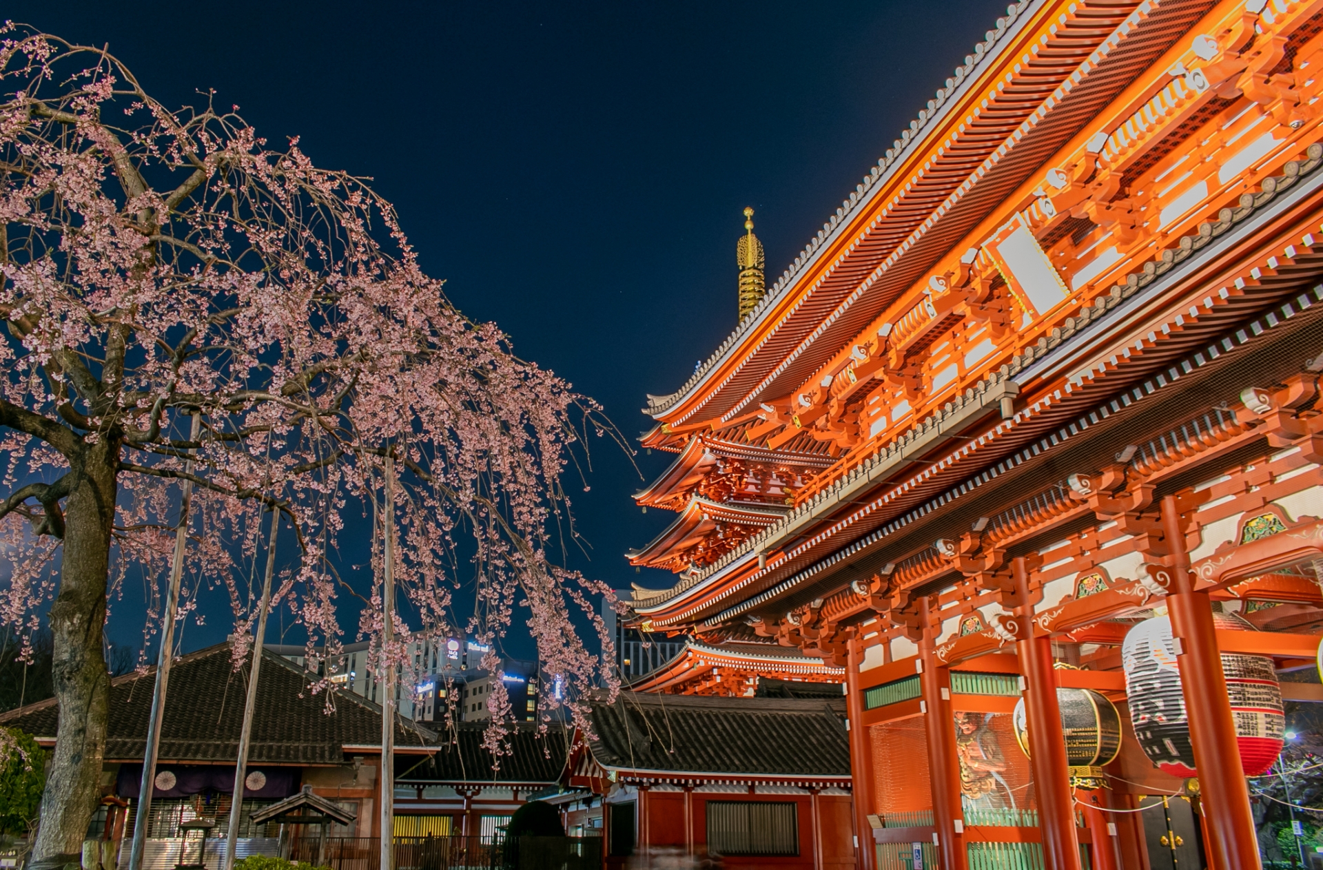 人気車ノア＆ヴォクシーの車中泊仕様が等身大で使いやすくてめっちゃいい! ハイエースよりいいかも!? - 自動車情報誌「ベストカー」