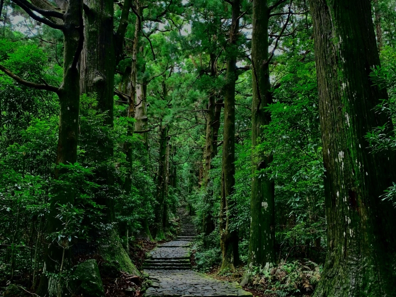 関西発 国内ひとり旅・ツアー一人旅ならクラブツーリズム
