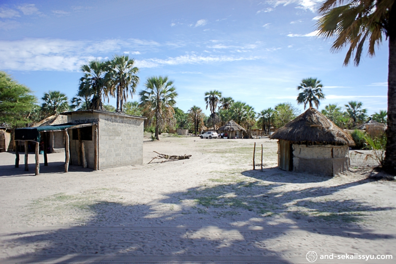 4泊5日 ボツワナサファリツアー 世界遺産オカバンゴ・デルタ＋モレミ動物保護区を訪問＜混載 英語