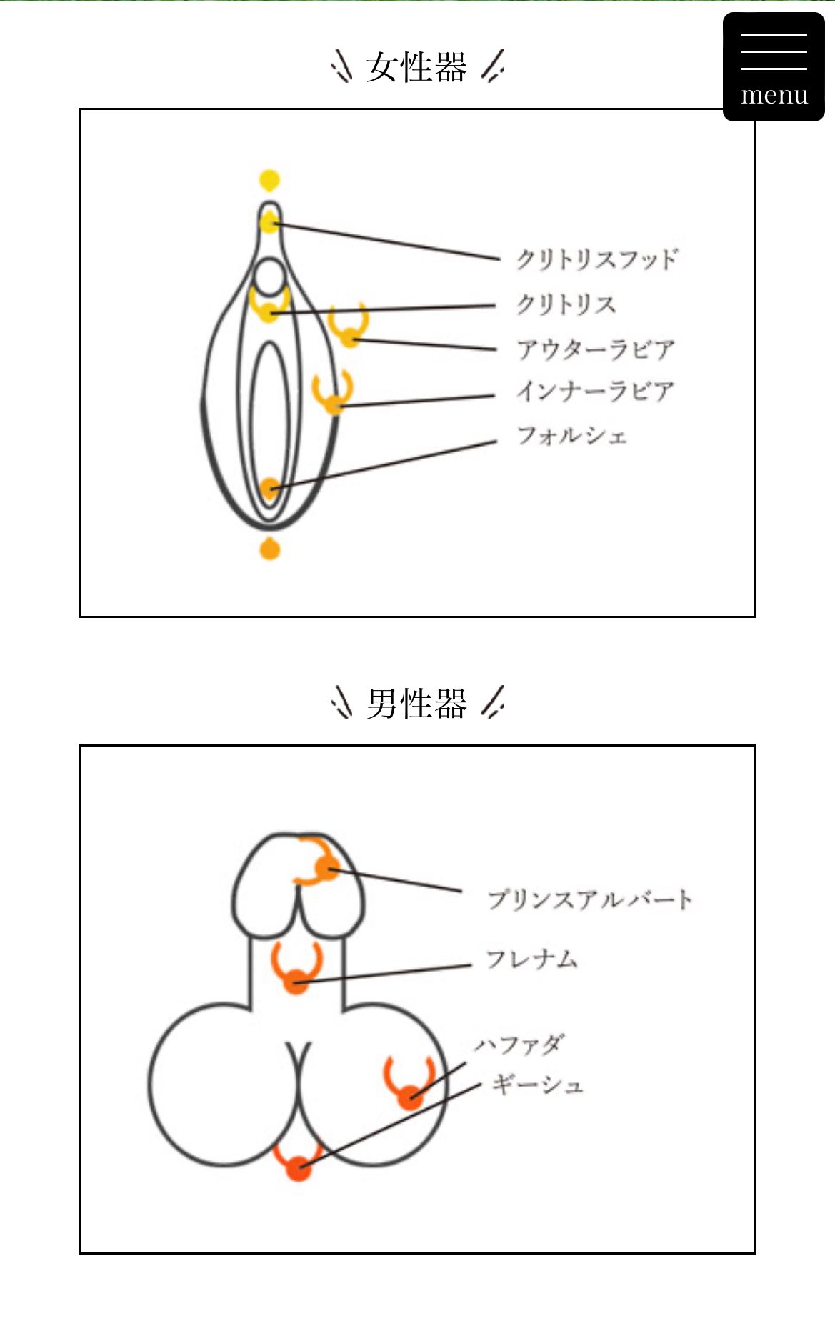833 プリンス アルバート