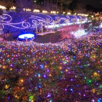 夕日の街灯りイルミネーション西武園ゆうえんち