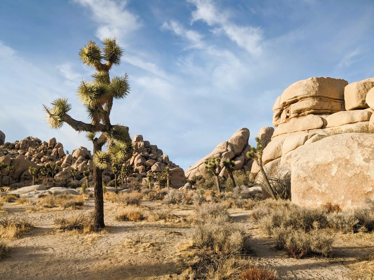 2025年 ジョシュアツリー国立公園の地層や地形: ジョシュアツリー国立公園の