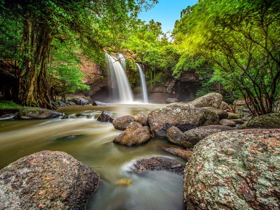 世界遺産：カオヤイ国立公園Khao Yai National