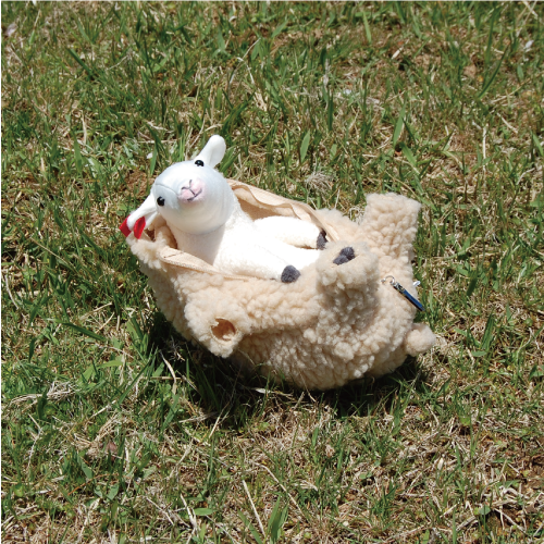 ウールショップ』 神戸市立六甲山牧場子供とお出かけ情報「いこーよ」