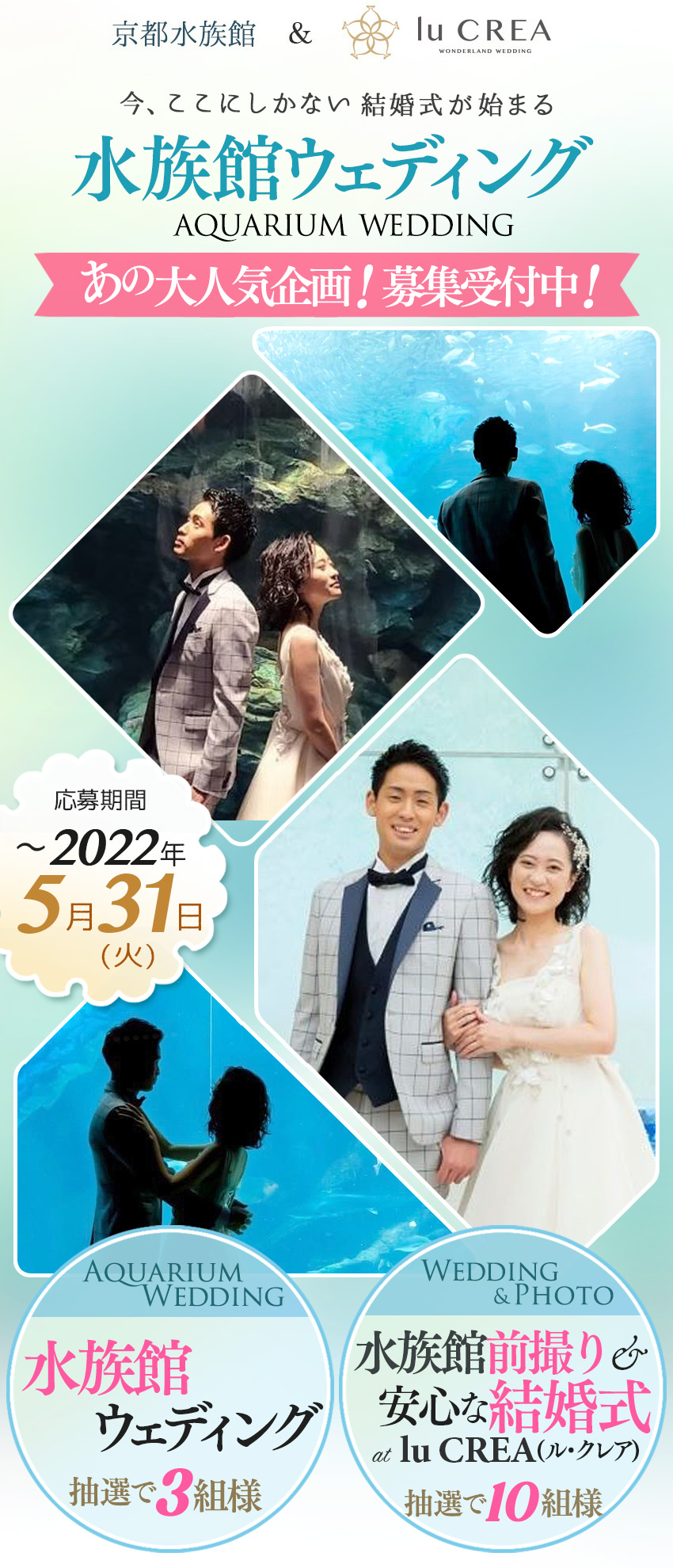 京都水族館、すみだ水族館 開業10周年企画！ スタッフが贈る“10年間で目撃・体験した幸せな出来事”