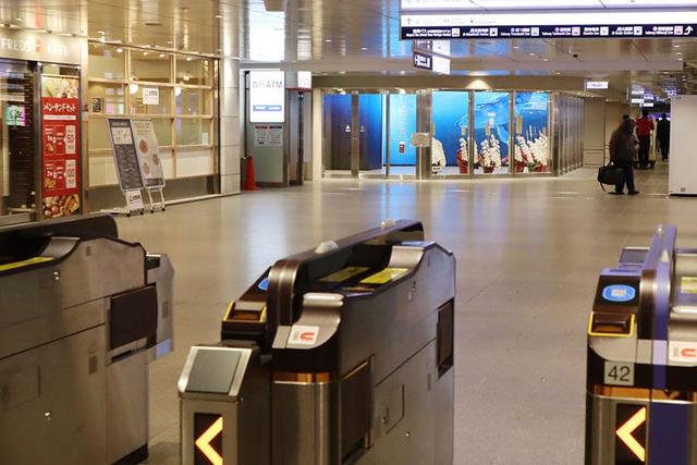 白馬八方尾根スキー場現地レポート！最高の雪質＆絶景と多彩な中・上級者コースが魅力！ゲレナビ