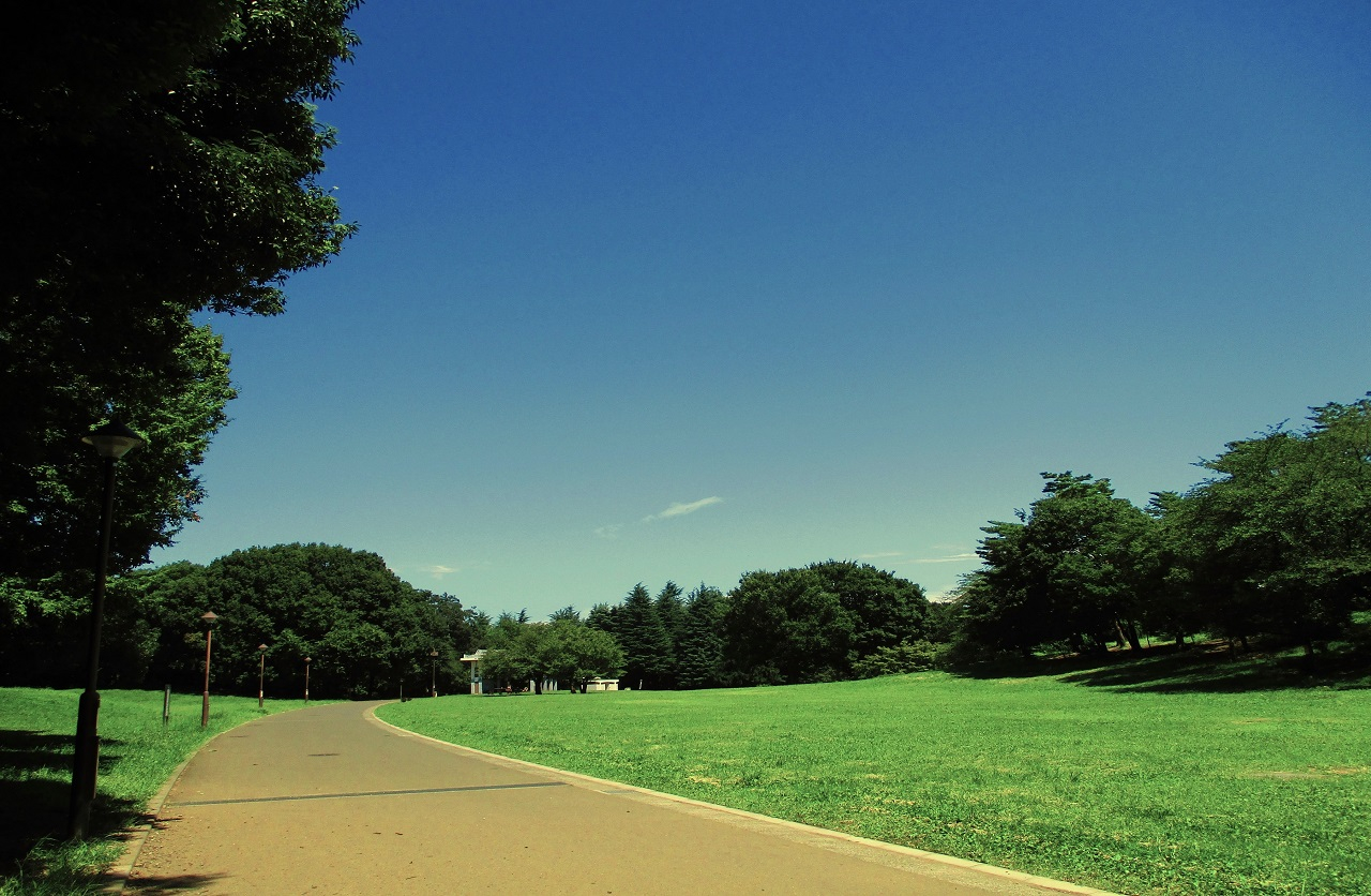コーシャハイム光が丘第三 光が丘駅 の空室情報シティモバイル